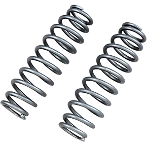 Rear Shock Springs - Silver 79-13830
