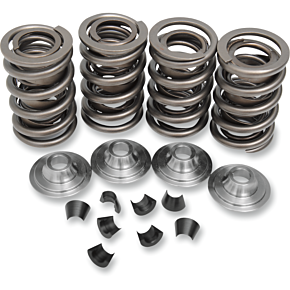 Valve Spring Kit - Big Twin 20-20430