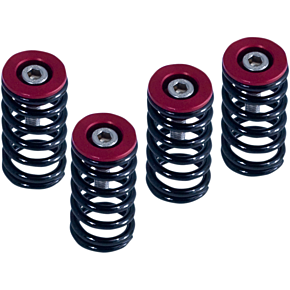 Clutch Springs 519-25-06098