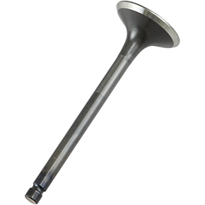 Exhaust Valve 28.2487-1