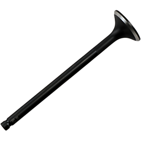 Exhaust Valve 30-30090