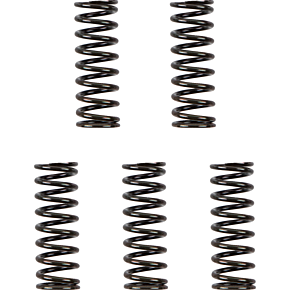 Clutch Spring Kit 501-48-05125
