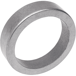 Cast Iron Valve Seat - Intake - Evolution 10-SC550