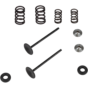 Valve Spring Kit 96-96450
