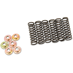 Clutch Spring Set 505-42-06031