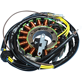 Ricks Motorsport Electric Stator - Polaris 21-560