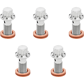 Banjo Bolt 5-Pack - M10x1.0 - Polished 300-857