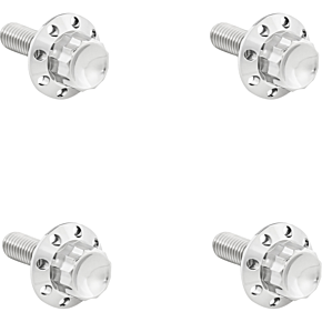 Bolt Kit - Windshield - Titanium - 12-Point - Polished 300-815