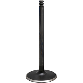 Kibblewhite Intake Valve 20-21009H