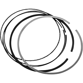 Piston Ring Set RP4060VMF