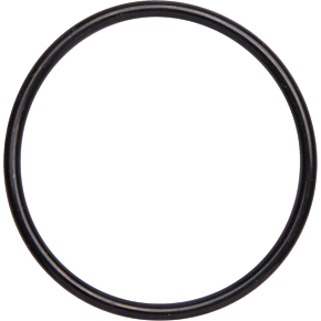 Exhaust O-Rings 014895