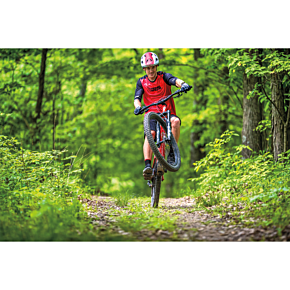 Moose MTB Shorts - Black - US 36 5001-0094