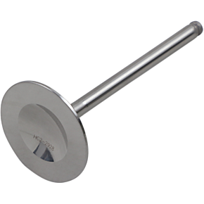 Intake Valve DW-RMZ450-IV08