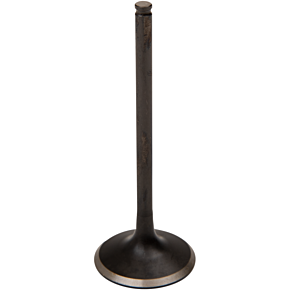 Exhaust Valve - CRF250R - Standard 30-30633