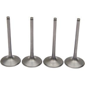 Moose Racing Valve Kit - 0926-2579