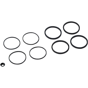 Caliper Seal Kit - FLT 1702-0464