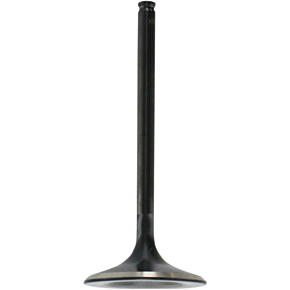 Intake Valve - TRX450R - Standard 30-30950