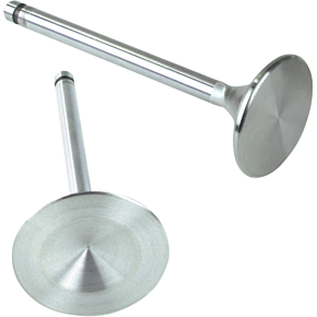 Exhaust Valve - 1.605" 90-2001