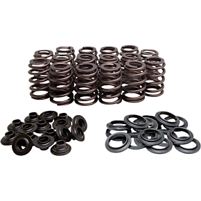 Beehive Valve Spring Kit 60-60950