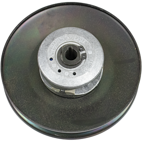 Driven Clutch 219461A