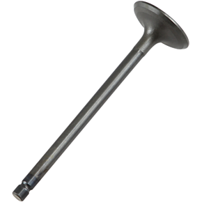 Intake Valve 28.2661-2