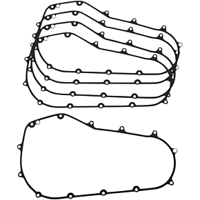 Primary Gasket C10241F5