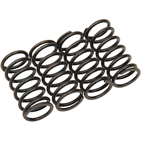 Clutch Spring Kit 501-38-04132