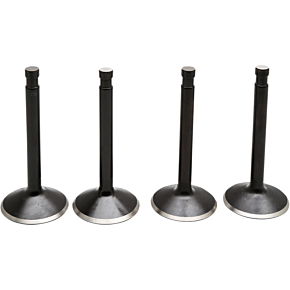 Valve Kit - Knucklehead 20-22000