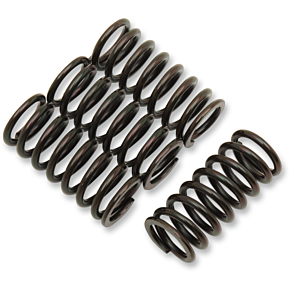 Clutch Spring Kit 501-45-04087