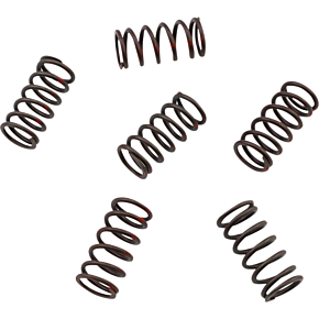 Clutch Spring Set KGS-802