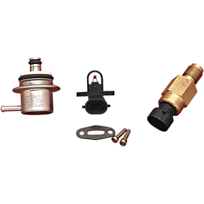 Fuel Pressure Regulator DS-289143