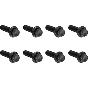 Bolt Kit - Trap Door - Titanium - 12-Point - M8 - Black 300-710