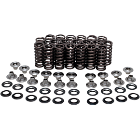 Valve Spring Kit 80-80500