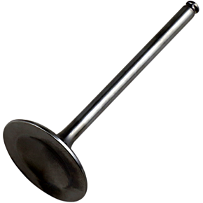 Intake Valve 8400028-2