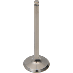 Exhaust Valve 28.1227-1