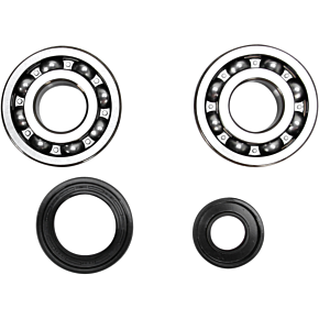 Crank Bearing and Seal Kit 23.CBS23099