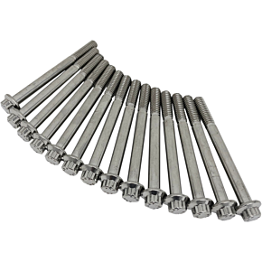Engine Case Bolt Kit 3034