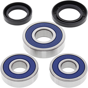 ALL BALLS Wheel Bearing - Kit - 25-1355