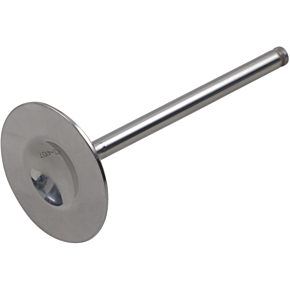 Intake Valve DW-TRX450R2IV05
