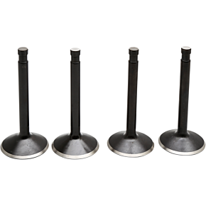 Valve Kit 20-22400
