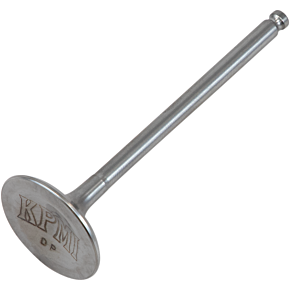 Intake Valve - Yamaha 80-80213T