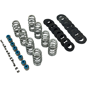 Beehive Valve Spring Kit - M8 1107
