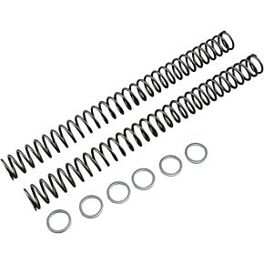Race Tech Fork Springs - 0.46 kg/mm
