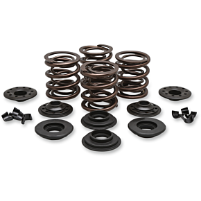 Valve Spring Kit - Big Twin 20-20425