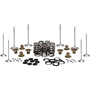 Kibblewhite Complete Valve Kit - M8 20-23350