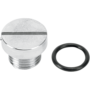 Oil Plug Chrome Big Twin 9876-2