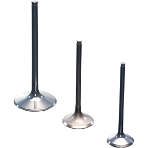 Exhaust Valve - Big Twin 20-4195S