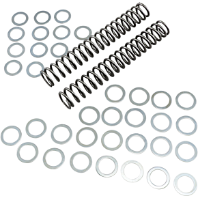 Race Tech Fork Springs - 1.00 kg/mm