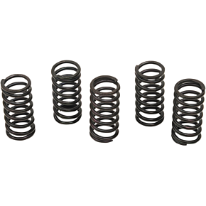 Clutch Spring Kit 501-34-05122