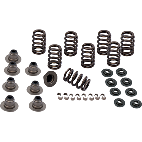 Ss Cycle Spring Kit - .605" - M8 900-0958